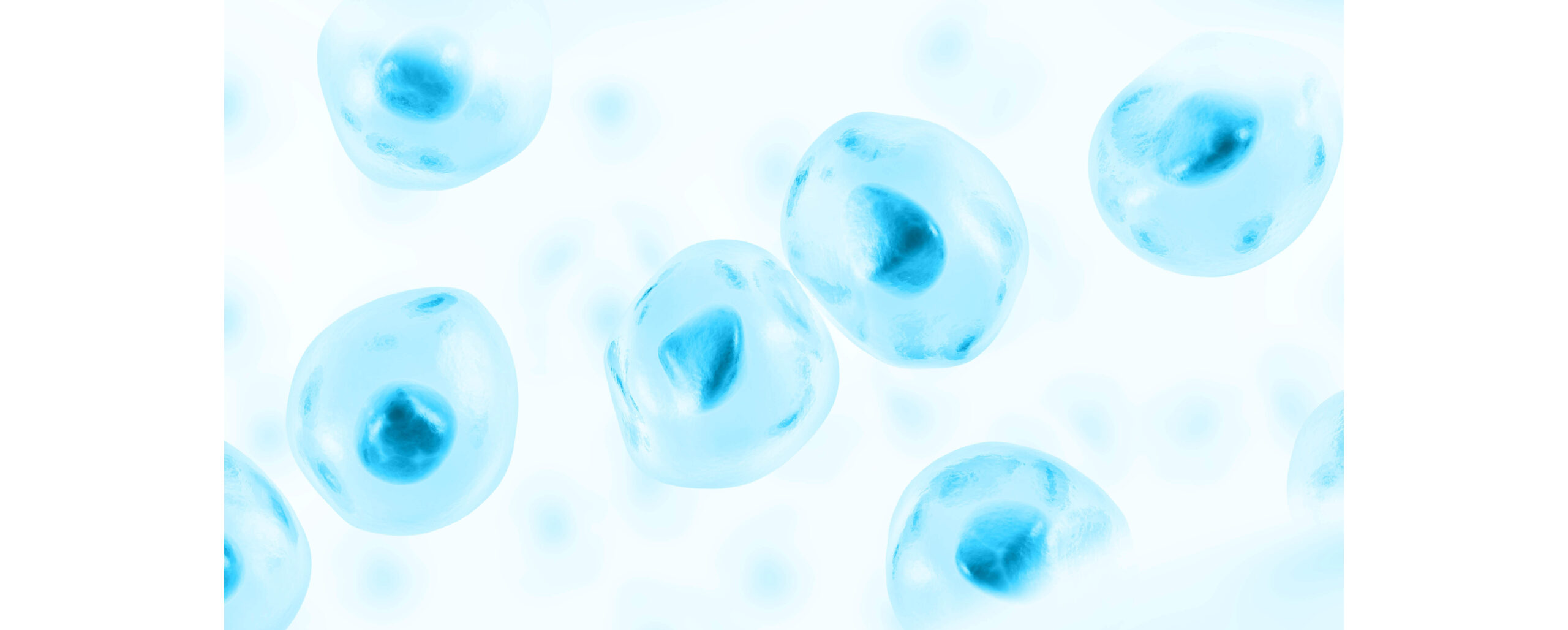 Gene TherapyViral Vectors